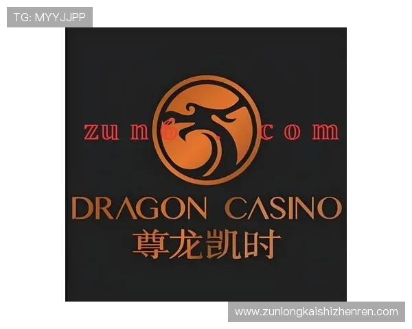 尊龙时凯中国官网入口下载最新版：全面指南助你轻松获取最新版本