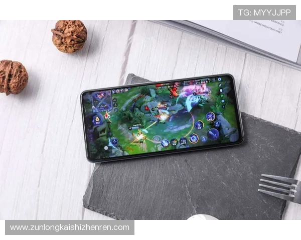 尊龙凯时d88用户体验优化方案提升游戏流畅度与操作便捷性的实用建议