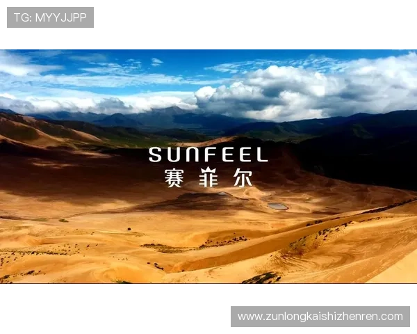 解密尊龙凯时网站的运营模式与盈利策略