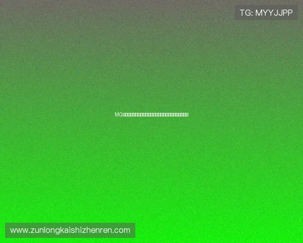 MG视讯的支付方式与提款流程详解让你轻松实现资金快速到账 MG视讯的支付方式与提款流程详解让你轻松实现资金快速到账